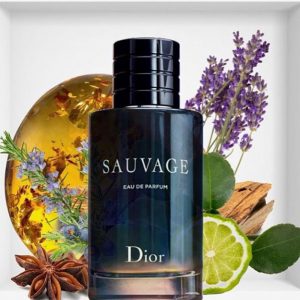 nuoc-hoa-nam-Dior-Sauvage-EDP-chinh-hang-gia-re-HCM