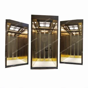 Thang máy thủy lực gia đình mini Bách Điền