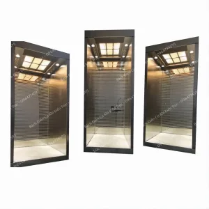 Thang máy thủy lực gia đình mini Bách Điền