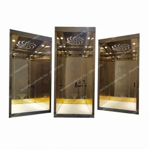 Thang máy thủy lực gia đình mini Bách Điền