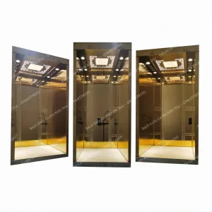 Thang máy thủy lực gia đình mini Bách Điền