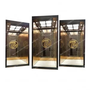 Thang máy thủy lực gia đình mini Bách Điền