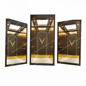 Thang máy thủy lực gia đình mini Bách Điền